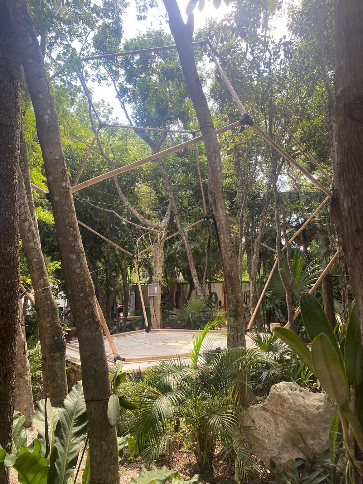 Bufo Alvarius Tulum Exterior photo