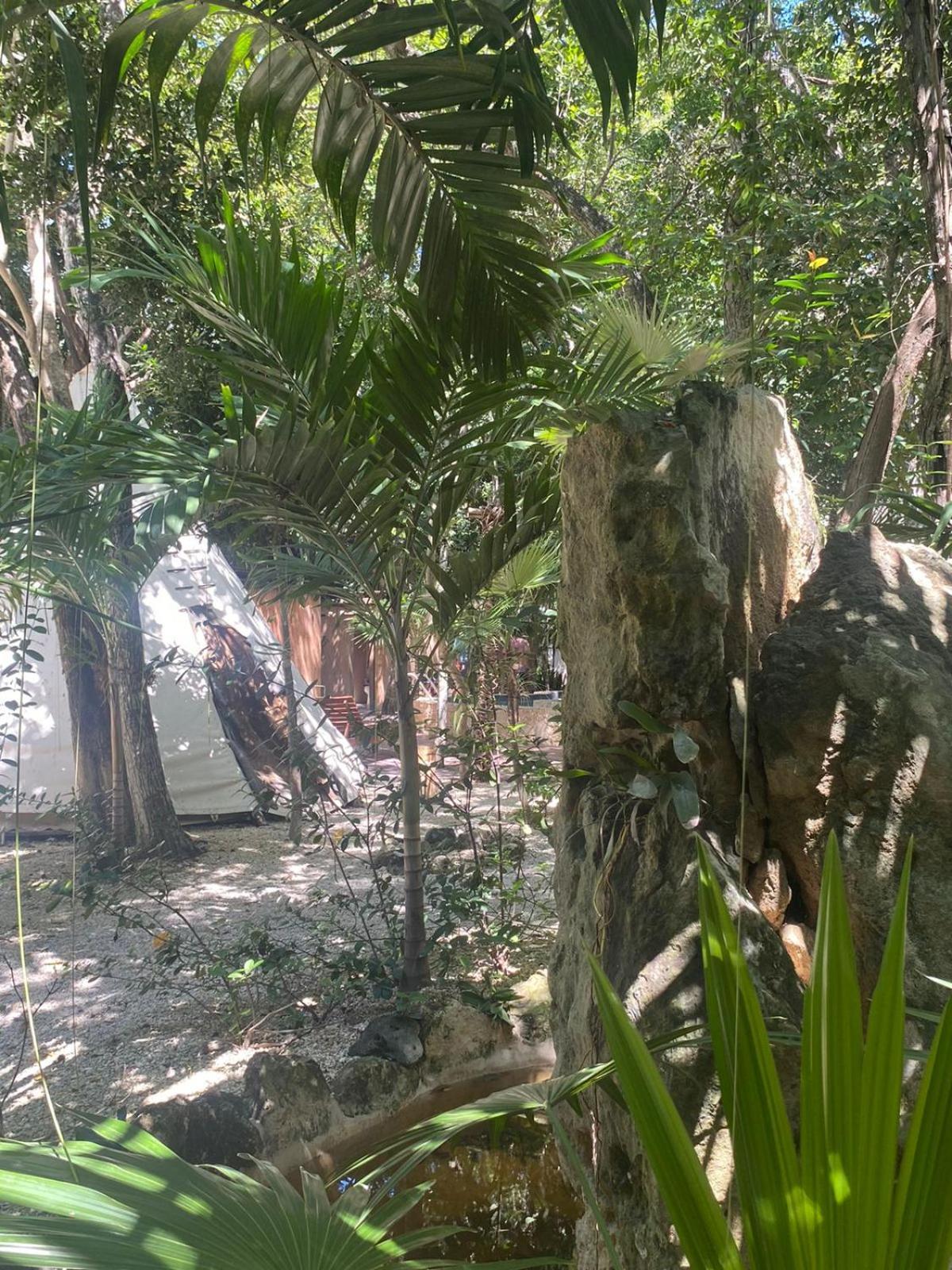 Bufo Alvarius Tulum Exterior photo