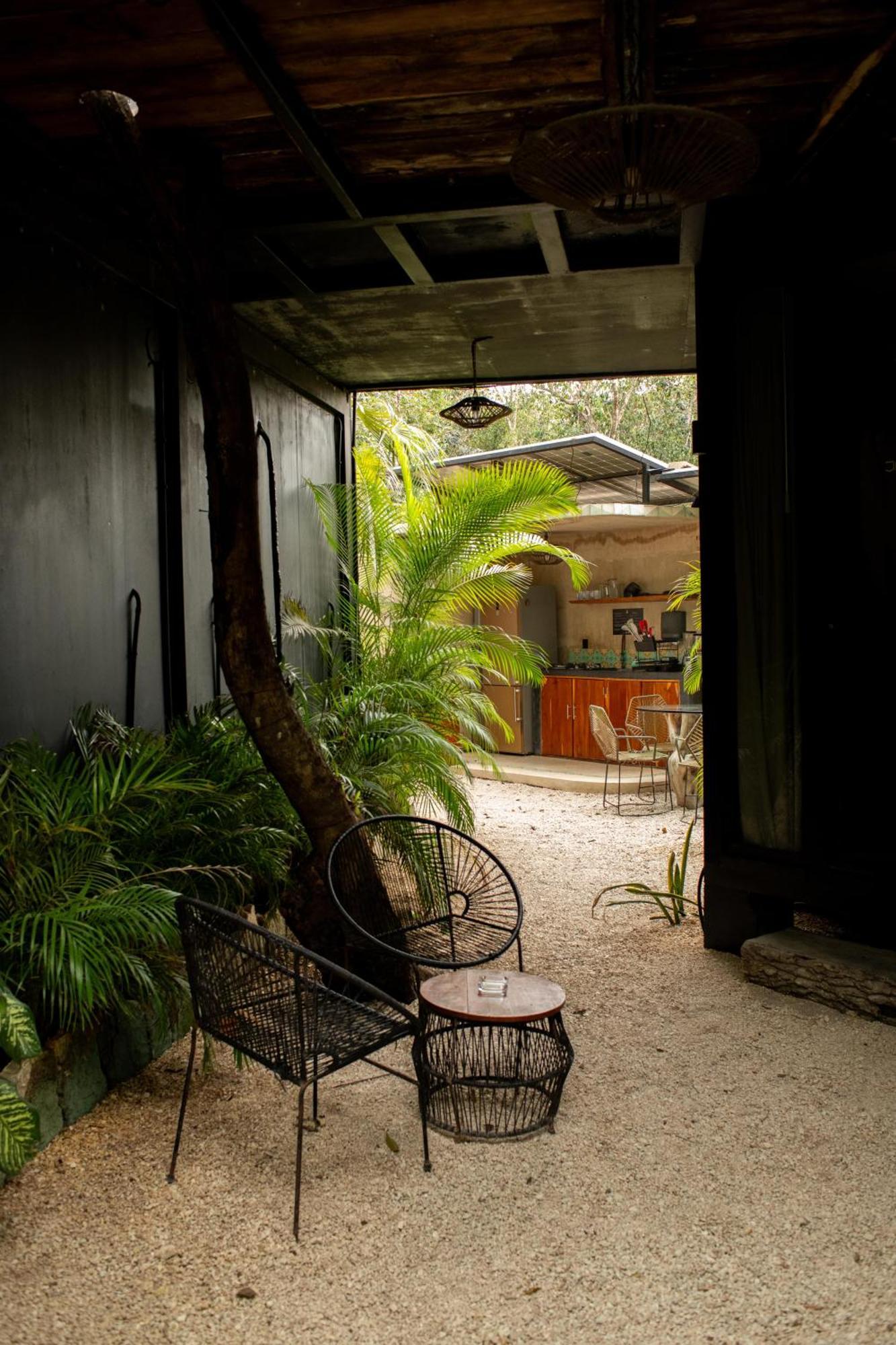 Bufo Alvarius Tulum Exterior photo
