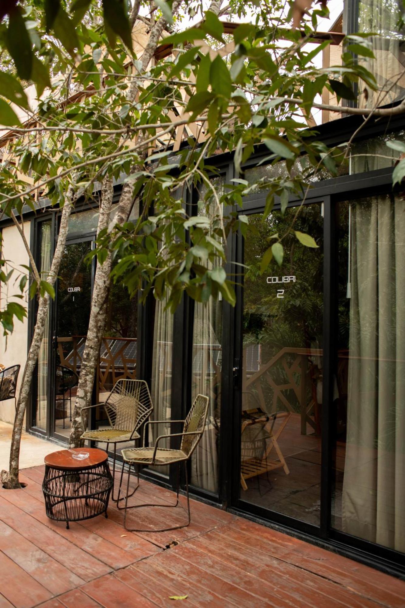 Bufo Alvarius Tulum Exterior photo