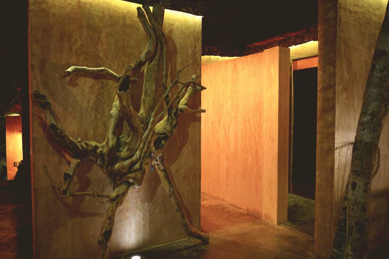 Bufo Alvarius Tulum Exterior photo